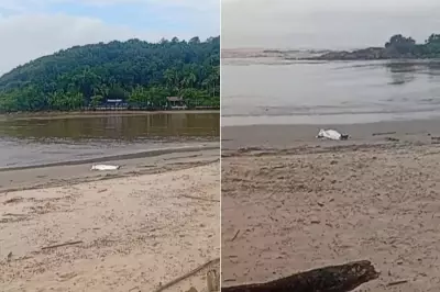 Mulher de 60 anos é encontrada morta em praia de Itanhaém, SP, em caso suspeito