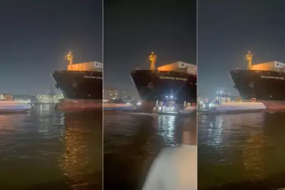 Navio porta-contêineres colide com duas balsas no Porto de Santos e tripulantes saltam ao mar