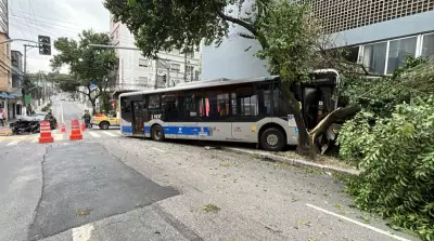 Ônibus parte árvore ao meio em acidente com carro na Zona Oeste de São Paulo; cinco feridos