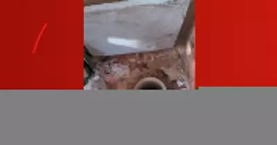 Operação da PM apreende arsenal escondido em cano de PVC em Bonito de Minas