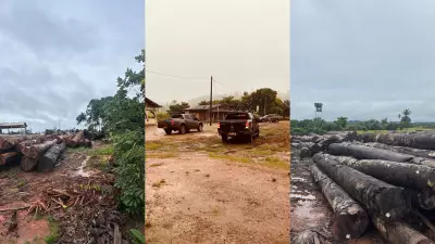 PF desarticula esquema de desmatamento ilegal em Terra Indígena de Rondônia