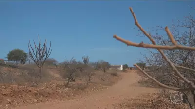 Piauí enfrenta seca extrema em 49 municípios, com todo o estado sob estiagem