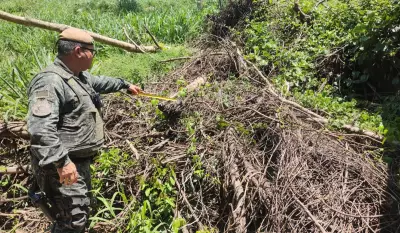 Polícia Ambiental aplica multa de R$ 1,5 mil por desmatamento ilegal em Salmourão (SP)
