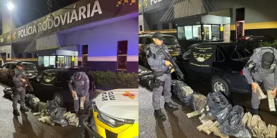 Polícia Rodoviária apreende 200 kg de maconha em rodovia de Avaí, SP