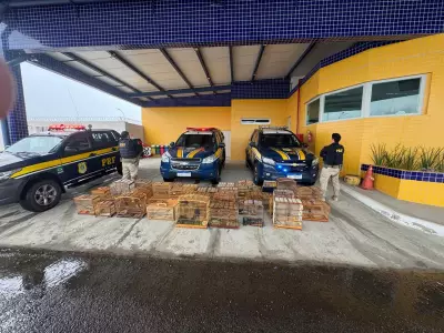 PRF resgata 132 aves silvestres comercializadas ilegalmente na BR 407 em Petrolina