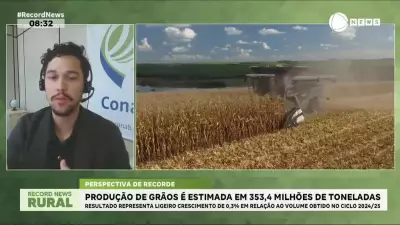Produção de grãos brasileira atinge 353,4 milhões de toneladas em nova estimativa