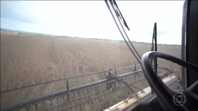 Produção de soja brasileira deve alcançar novo recorde histórico em 2026