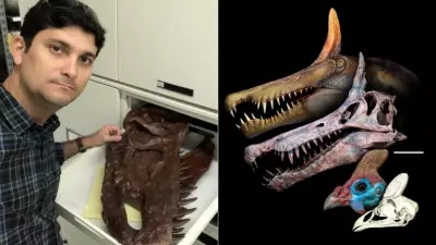 Professor do IFMA participa da descoberta de nova espécie de dinossauro no Saara