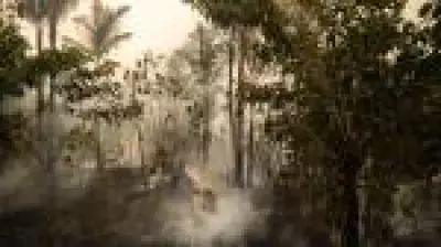 Queimadas caem 36% em janeiro, mas Amazônia continua sendo o bioma mais atingido