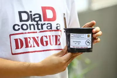 São José dos Campos usa ovitrampas para combater dengue com monitoramento estratégico