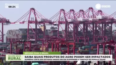 Suprema Corte dos EUA suspende tarifaço de Trump e impacta produtos do agro brasileiro