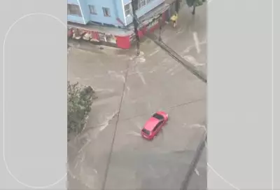 Temporal na Região Serrana do Rio causa danos em Teresópolis e Petrópolis