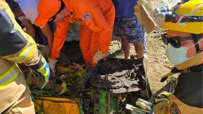 Trabalhador de 60 anos tem parte da perna amputada após acidente com trator em Berizal, MG
