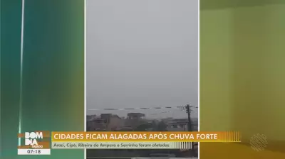 TV Bahia e G1 Bahia Apresentam os Principais Vídeos do Sábado, 21 de Fevereiro de 2026