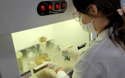 UFJF abre inscrições para concurso que destaca mulheres cientistas em bares de Juiz de Fora