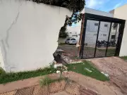 Acidente em Campo Grande: Motorista perde controle e colide contra muro de condomínio