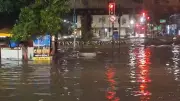Alagamentos no Rio: água atinge 2 metros e jacaré aparece em Acari após chuvas
