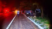 Anta Atropelada Provoca Grave Acidente com Três Feridos em Rodovia de MS