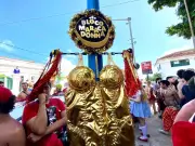 Bloco Maracadonna homenageia Madonna com festa e liberdade nas ladeiras de Olinda