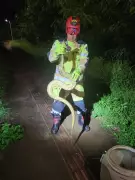 Bombeiros capturam sucuri de 2 metros perto de pista de caminhada em Uberlândia