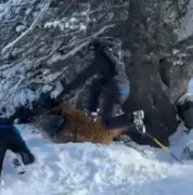 Brasileiro vestido de Chewbacca é espancado em estação de esqui na França