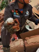 Cachorro é resgatado vivo de escombros após chuvas em Juiz de Fora; vídeo emociona