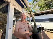 Campings no Litoral Norte do RS são refúgio de verão e Carnaval com natureza e economia