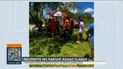 Capivara ataca mulher no DF e acidentes marcam carnaval 2026 no Brasil