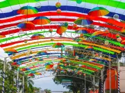 Carnaval 2026 no Acre: Festa em Rio Branco mantida apesar de cancelamento estadual