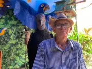 Carnaval do interior: tradições únicas do Pará e Pernambuco revelam folia autêntica