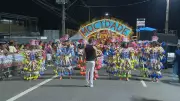 Carnaval em Juiz de Fora: Desfiles das Escolas de Samba Começam Neste Domingo