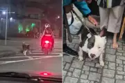 Casal é identificado por conduzir cachorro preso a coleira em moto em Santos, SP