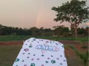 Cemitério pet no Acre retoma atividades após regularização ambiental