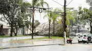 Chuva forte e ventania causam estragos em Taubaté, derrubando escola e árvores