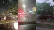 Chuva intensa derruba árvore sobre trailer e causa alagamentos em Teresina