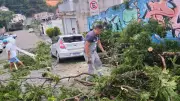 Ciclone extratropical causa destruição em Santa Isabel com queda de árvores e postes
