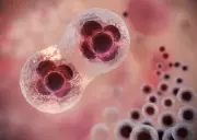 Câncer se aproxima de doença crônica: 70% sobrevivem 5 anos após diagnóstico nos EUA