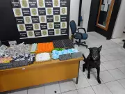 Cão farejador auxilia na apreensão de mais de 15 kg de drogas em Suzano