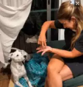 Cão surdo impressiona com compreensão de sinais e reacende debate científico sobre cognição animal