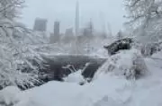 Corpo de homem de 58 anos é encontrado sob neve no Central Park em Nova York