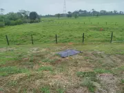 Corpo de homem não identificado é encontrado às margens da BR-317 no interior do Acre