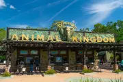 Disney aposenta DinoLand USA após 28 anos no Animal Kingdom em Orlando