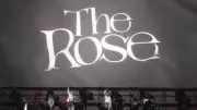 Documentário do The Rose estreia no Brasil com foco em desconstruir estereótipos do K-Pop