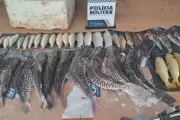 Dois homens são presos com 48 peixes irregulares em São José dos Quatro Marcos