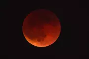 Eclipse lunar total em março: Brasil terá visão limitada da 'Lua de Sangue'
