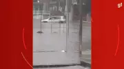 Enchente em Curitiba arrasta carros e deixa rastro de destruição no bairro Fanny