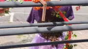 Enxame de Abelhas Invade Loja e Cobre Manequim em Shopping de Taubaté