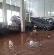 Enxurrada arrasta carros e causa mortes em Ubá, MG; cidade decreta calamidade pública