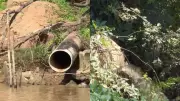 Esgoto polui Rio Parnaíba e gera alerta ambiental entre moradores ribeirinhos