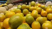 Exportações de suco de laranja reagem em janeiro com alta demanda da UE, aponta Cepea